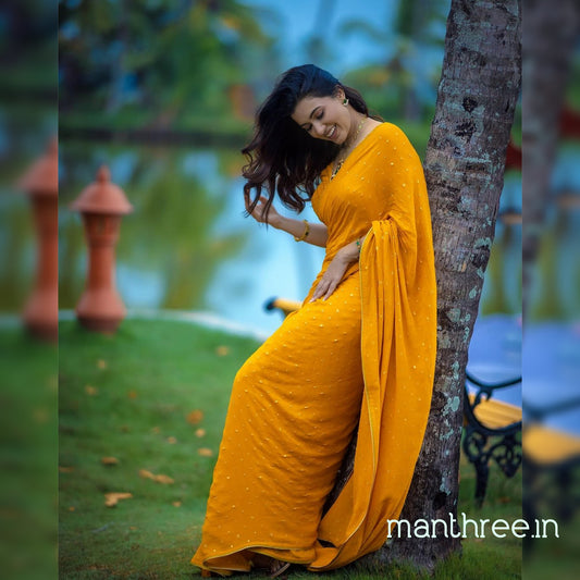 Anju celebrity saree